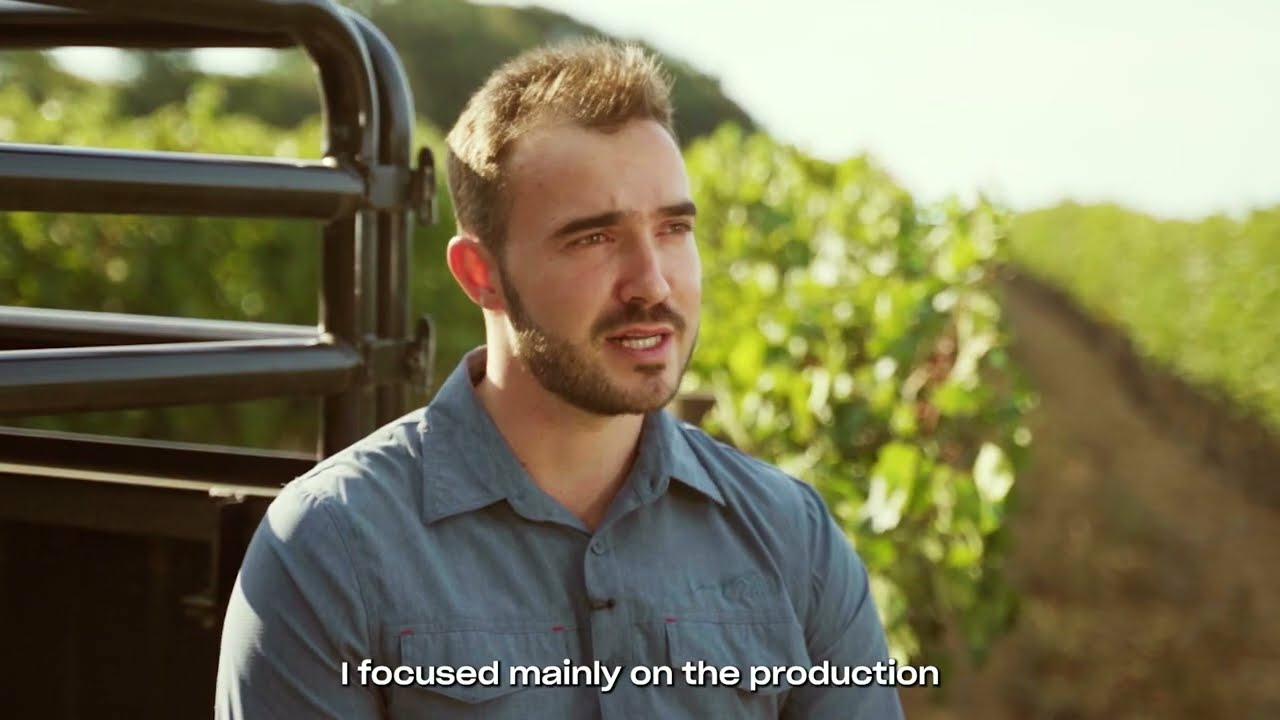 Mealybug Control in Vineyards with Cryptolaemus montrouzieri (Cryptobug)