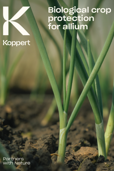 Crop brochure Allium