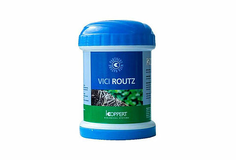 Vici Routz SP