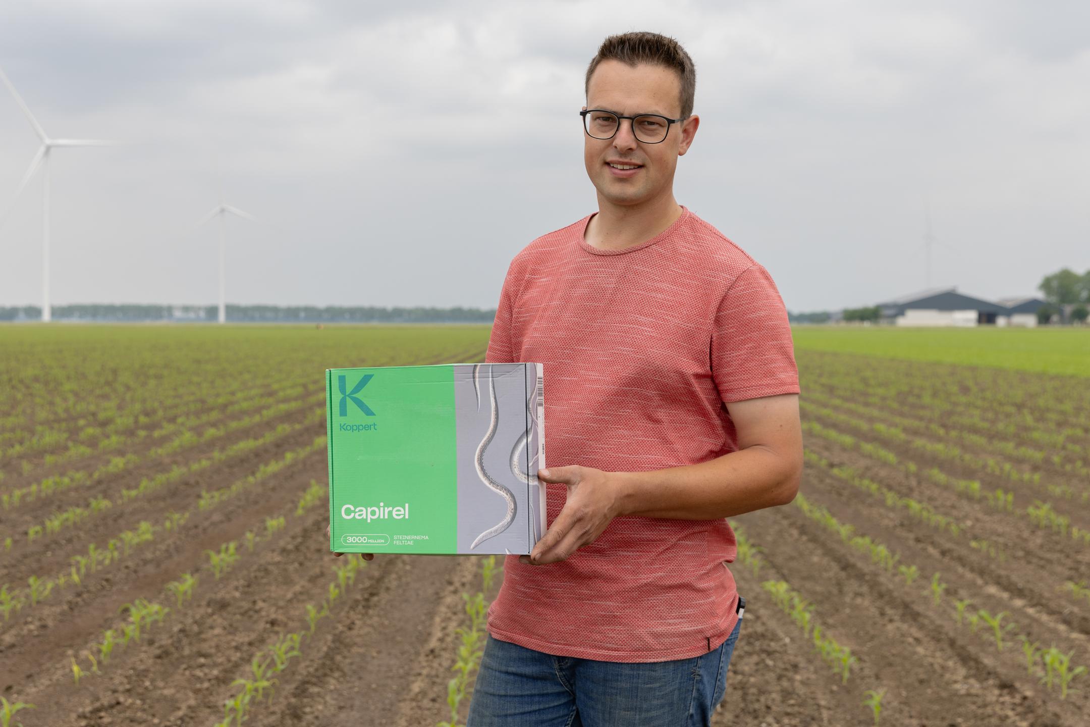 Control Bean Seed Fly with Beneficial Nematodes